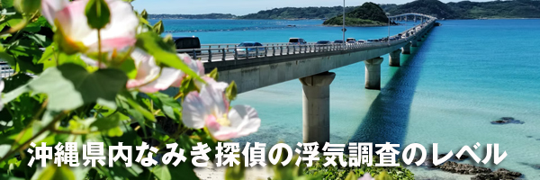 沖縄県内なみき探偵の浮気調査のレベル